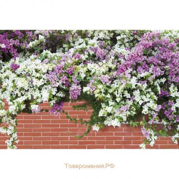 Фотобаннер, 300 × 200 см, с фотопечатью, люверсы шаг 1 м, «Весенние цветы»