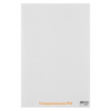 Крафт-картон, 200 х 300 мм, Decoriton, 120 г/м², белый