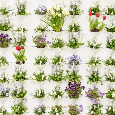 Фотообои Стена с цветами 2,7*2,7 (из 3 листов)