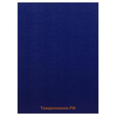 Папка для дипломных работ (Без надписи), бумвинил, гребешки/сутаж, без бумаги, цвет синий (вместимость до 150 листов)