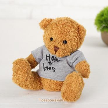 Мягкая игрушка «Медведь в свитере», 20 см, цвета МИКС