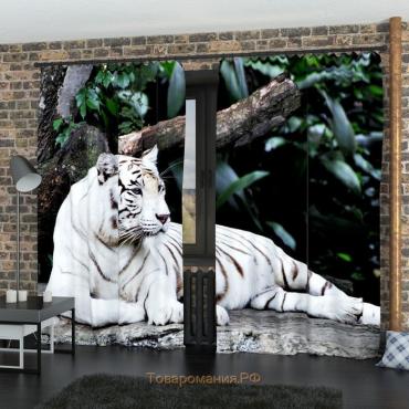 Фотошторы «Белый Тигр», размер 145 х 260 см, блэкаут