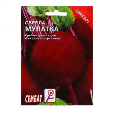 Семена ХХХL Свекла "Мулатка", 10 г