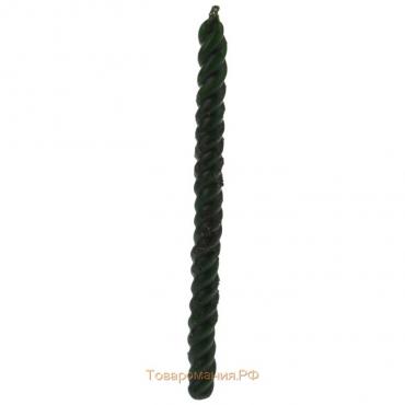 Свеча-скрутка с травами «Денежное дерево», 1,5×17,5 см, цвет зелёный