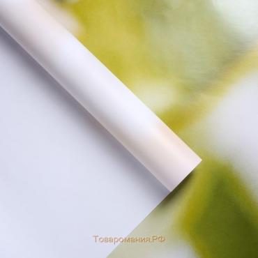 Фотообои "Цветы ранункулюса", 210х200 см, 130 г/м