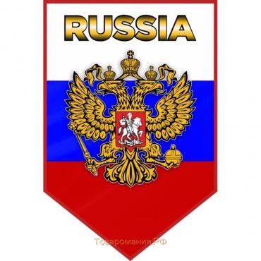 Вымпел пятиугольный "Флаг" Россия с орлом 100х150 мм цветной