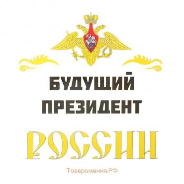 Термонаклейка на листе «Будущий президент России», набор 10 шт., 21 × 21 см