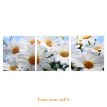 Модульная картина "Белые ромашки" (3-35х35) 35х105 см