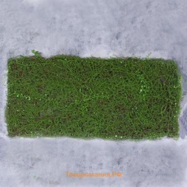 Декоративная панель, 90×40 см, «Мох», Greengo