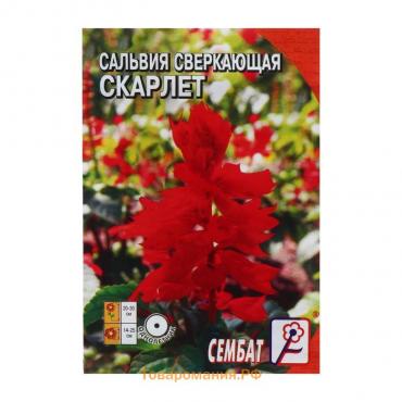 Семена цветов Сальвия сверкающая "Скарлет",  0,05 г