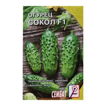 Семена Огурец "Сокол", F1,  0,2 г