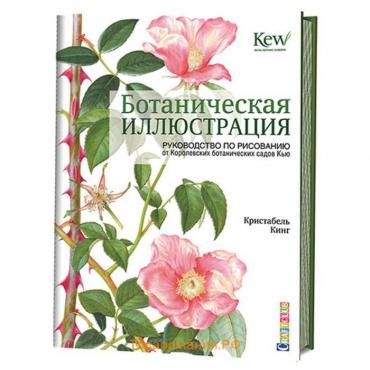 Ботаническая иллюстрация. Руководство по рисованию от Королевских ботанических садов Кью