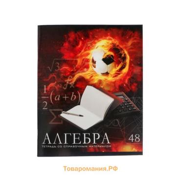 Тетрадь предметная 48 листов в клетку Calligrata «Футбол. Алгебра», обложка мелованный картон