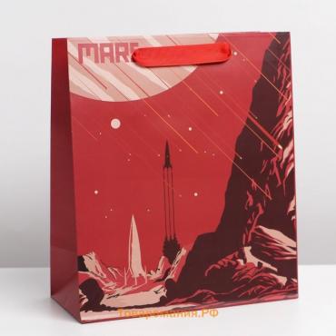 Пакет подарочный ламинированный вертикальный, упаковка, «Mars», ML 23 х 27 х 11,5 см