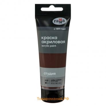 Краска акриловая художественная туба 75 мл, Гамма "Студия" №610 умбра жжёная