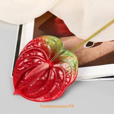 Цветы искусственные «Антуриум», h=60 см, красные