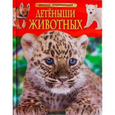 Детская энциклопедия. Детёныши животных