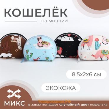 Кошелёк монетница детская на молнии, цвет МИКС