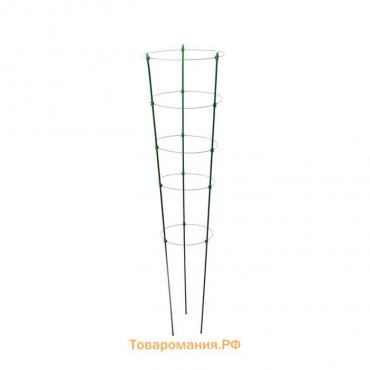 Кустодержатель, d = 32–30–28–26–24 см, h = 150 см, 5 колец, металл, зелёный, Greengo