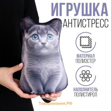 Антистресс игрушка «Котик Русский Голубой»